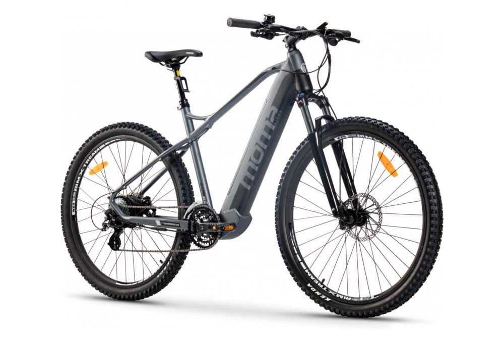 E-MTB 29'' Shimano Altus 8V Gris