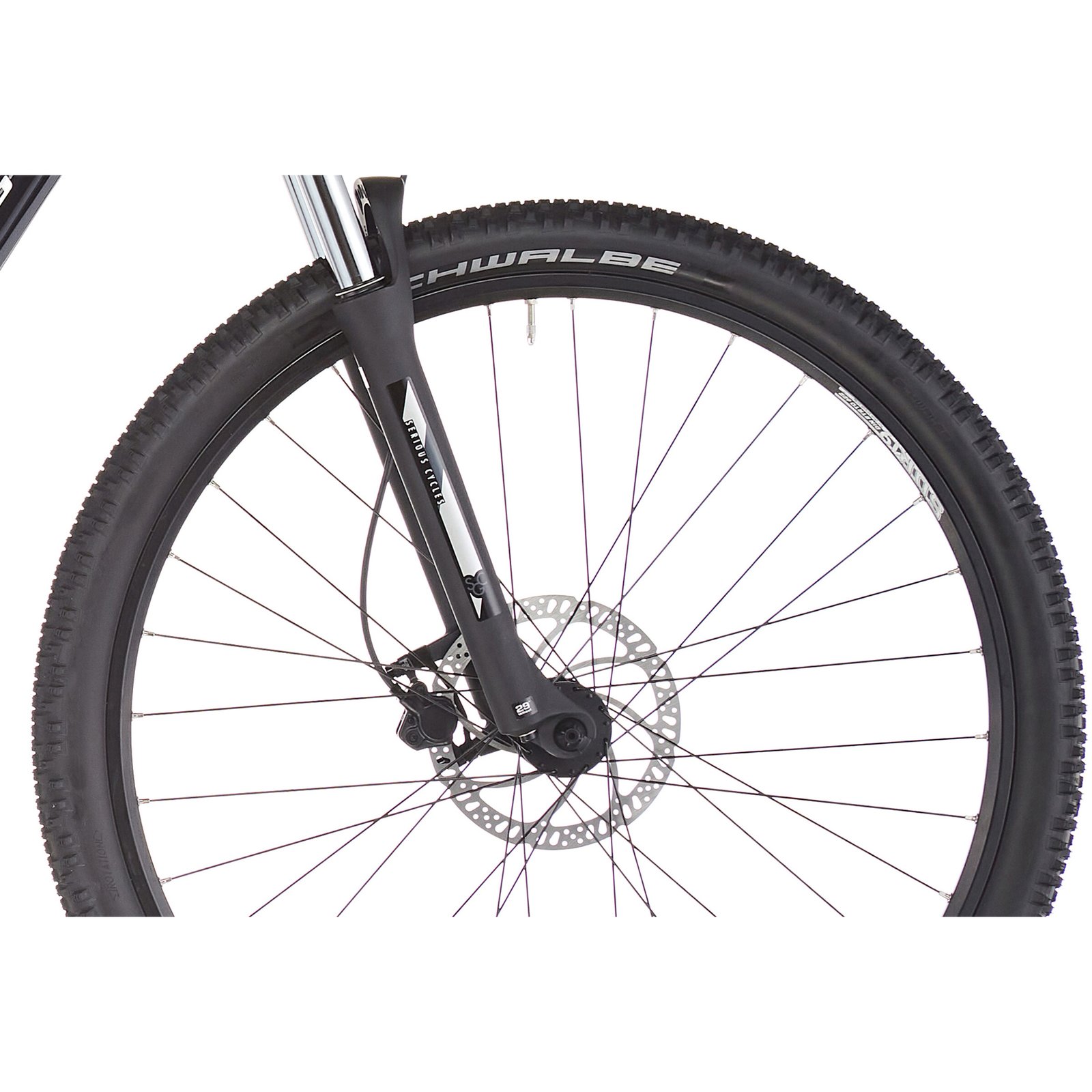 SERIOUS BEAR ROCK 29", ARGENT – Image 4