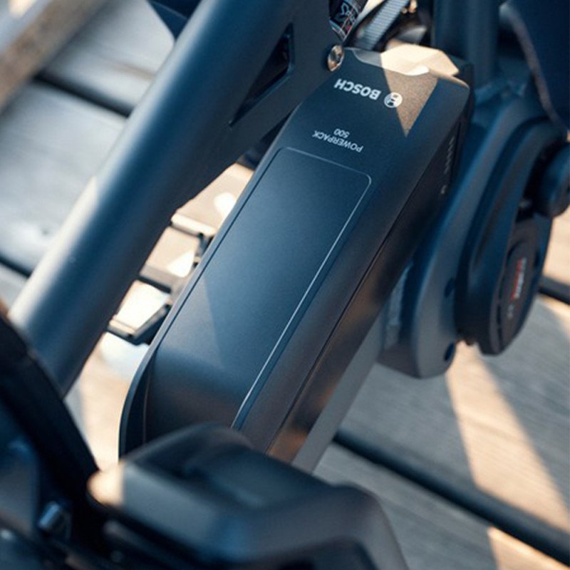 Vélo cargo électrique Riese&Müller Load 75 – Image 7