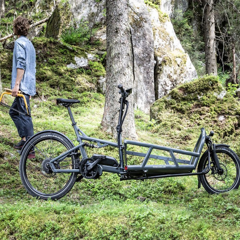 Vélo cargo électrique Riese&Müller Load 75 – Image 12
