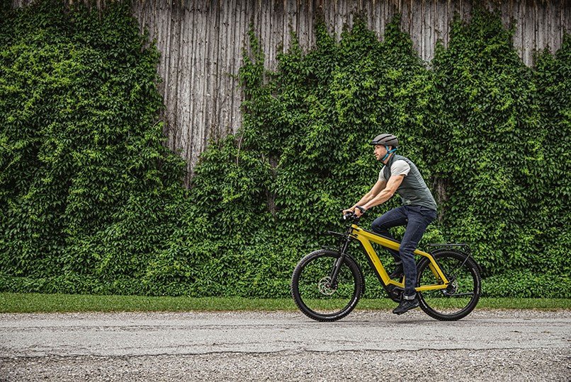 Riese & Müller Supercharger GT rohloff – Image 7