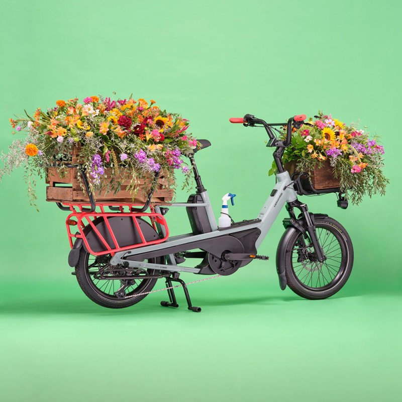 Vélo cargo électrique Cannondale Cargowagen Neo 2 – Image 6