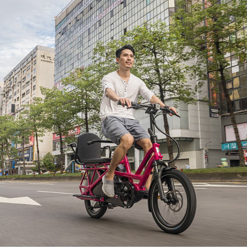 Vélo cargo électrique Tern GSD S10 LR 2024 – Image 12